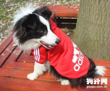 ����������Ҫ���·���