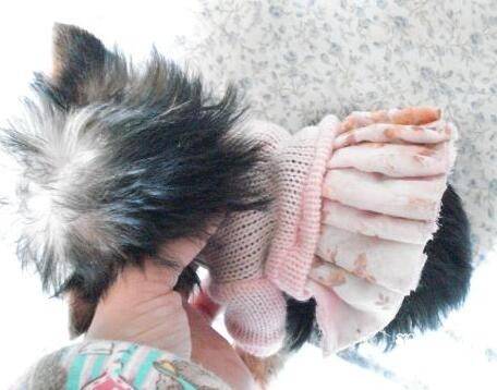 ������Ҫ���·��𡿴��´�磬Ϊ�������ͽ�������