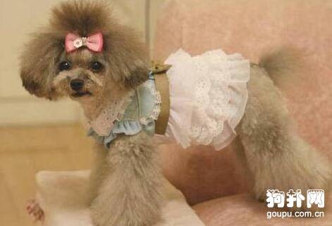 ���б�Ҫ���·��𣬹���ΪʲôҪ���·�