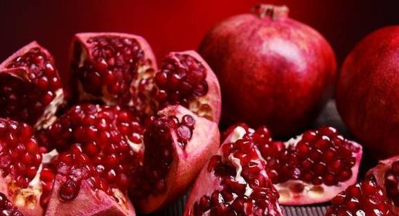 狗狗须知:这五种水果,狗狗不能吃 狗狗须知:这五种水果,狗狗不能吃