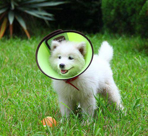 ��ʱ�ű��� �ﹷ����ë������ë��