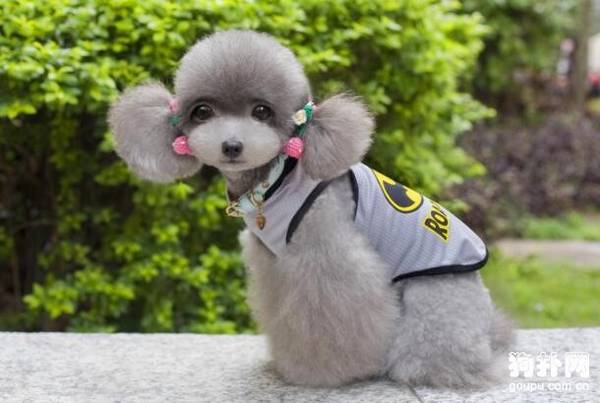 ������θ��������·���������������������