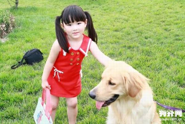 警惕运动和训练给狗狗的伤害吧 警惕运动和训练给狗狗的伤害吧