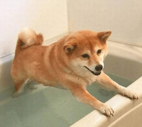 �Ļ�����С��������5�ַ�ʽ ����һ����ϲ������