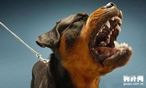 ����Ϊʲô��ͽ�,�����ҽе�ԭ��