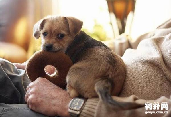 ���ѵ���������ҽ�