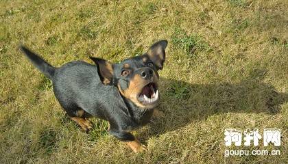 ��Ϊʲô����,�������е�ԭ��