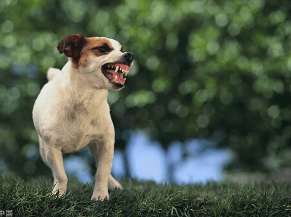 �����Ч��ֹ�����ĺ��ҷͽ�