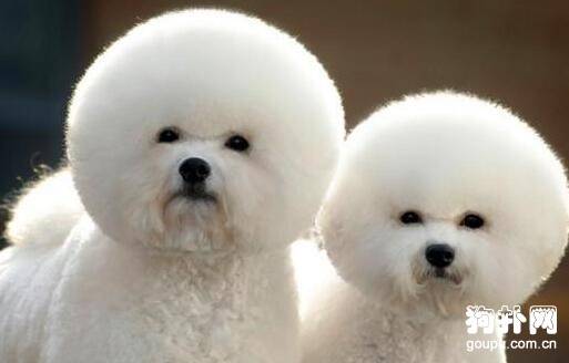 ���ѵ�������������������������