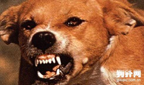 ��ξ��������ҽе�ϰ��