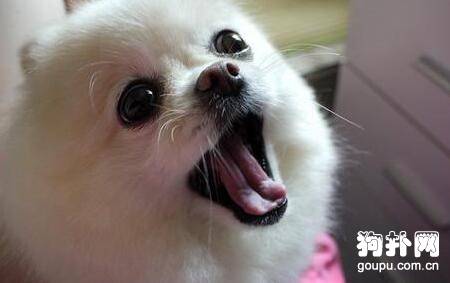 ѵ���������ҽеķ���