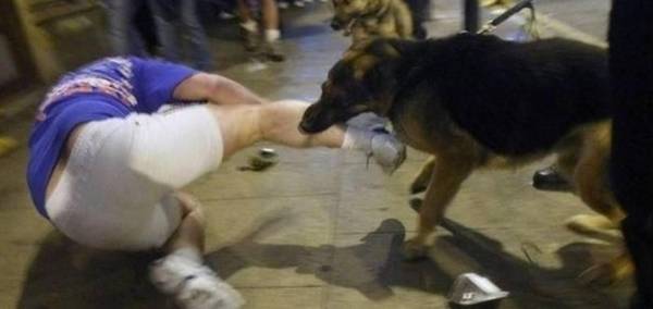 2�ַ�����С���ɵ�ҧ�˵��죬�ڴ���϶��������