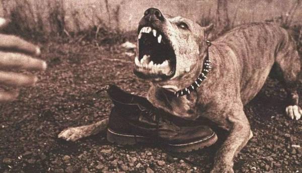 2�ַ�����С���ɵ�ҧ�˵��죬�ڴ���϶��������