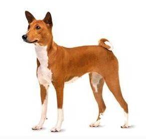 ��������Ȯ��׼��������Ȯ�۸���������