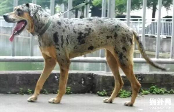 ������������Ȯ��׼������������Ȯ�۸���������