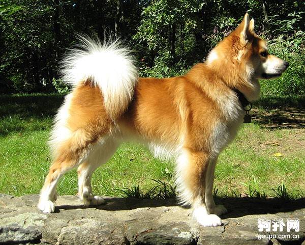 ����������Ȯ�۸񡿱�������Ȯ��ѡ����