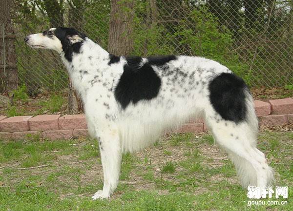 ���ն�����Ȯ�������ն�����Ȯ�������۸�