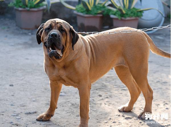 ����ʿ���Ȯ��������ʿ�����Ȯ�۸�