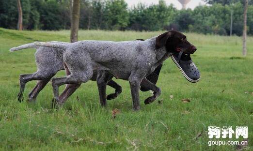 ���¹���ë�������׼���¹���ë������۸����ݷ���