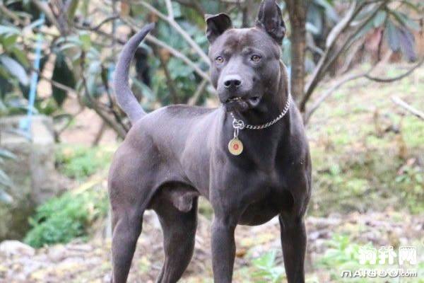 ������̩Ȯ��׼����������̩Ȯ�۸���̬����