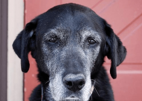 Ҫ�빷��ʹ�������������ӣ�����Ӧ���߶����ӹ���������֢��