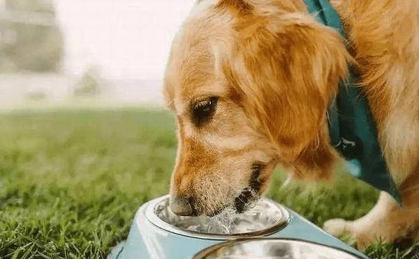 Ҫ�빷��ʹ�������������ӣ�����Ӧ���߶����ӹ���������֢��