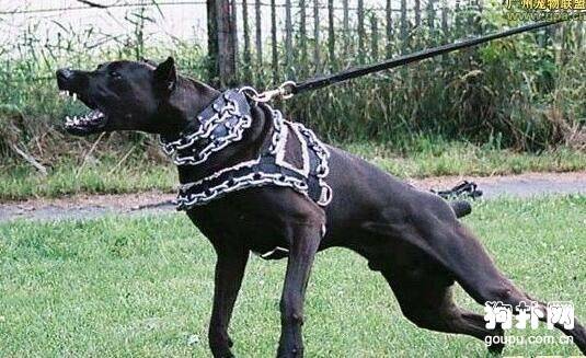 ����Ȯ��׼����Ȯ���޼۸���̬����