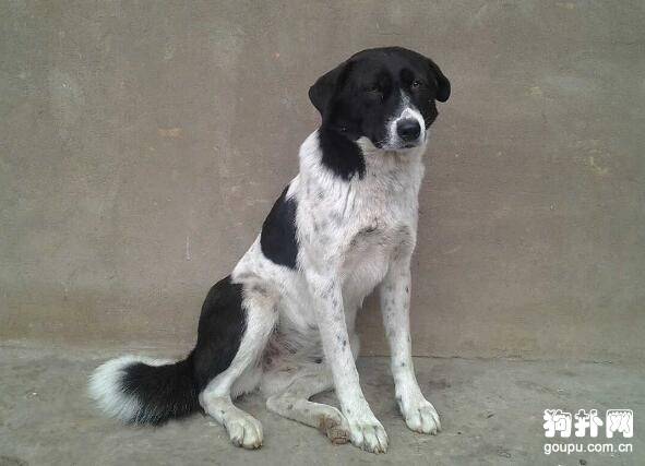 ��̫��Ȯ��׼��̫��Ȯ�۸�ѵ������������