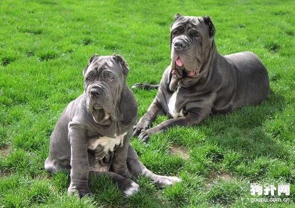 ��Ŧ��������Ȯ��׼���ǲ���˹��۸���������