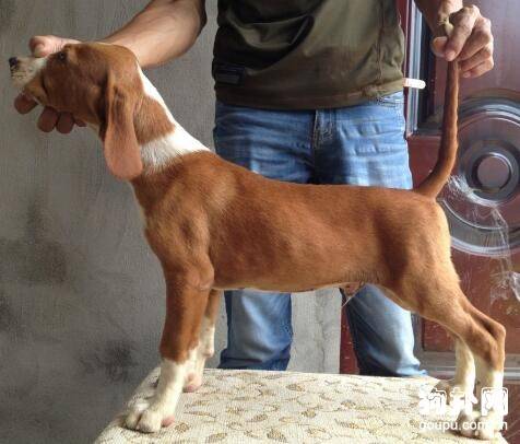 ����ά����Ȯ�۸�ѵ������