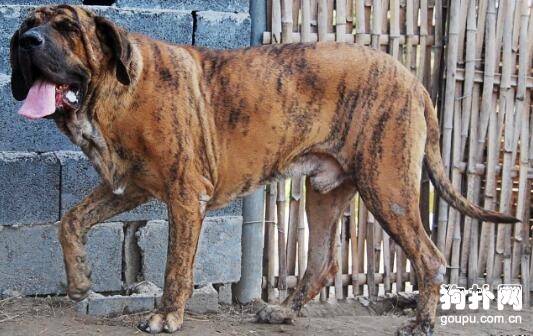 ���������ձ�׼�����ְ������ռ۸���̬����