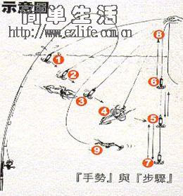 夜钓,墨鱼,鱿鱼,章鱼