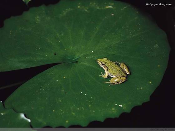 �·����׼���֮����Ĥ�