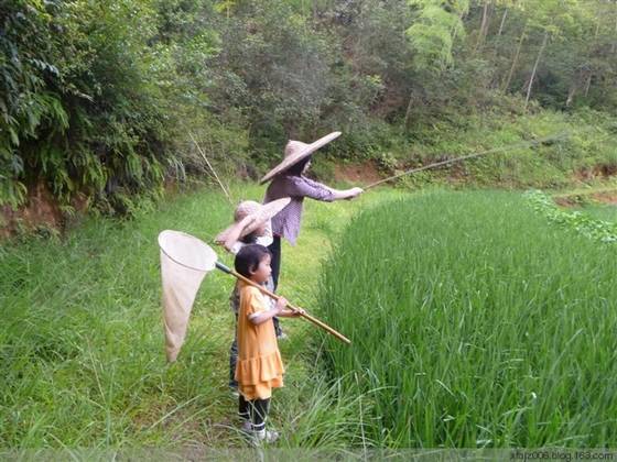 �·����׼���֮����Ĥ�