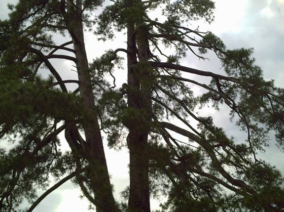 ųޡβ֮ѳʷ - xxx - xfajz006 Ĳ