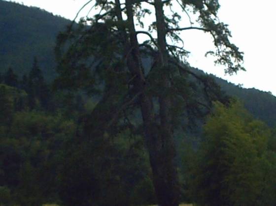 ųޡβ֮ѳʷ - xxx - xfajz006 Ĳ