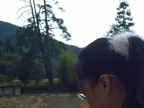 ųޡβ֮ѳʷ - xxx - xfajz006 Ĳ