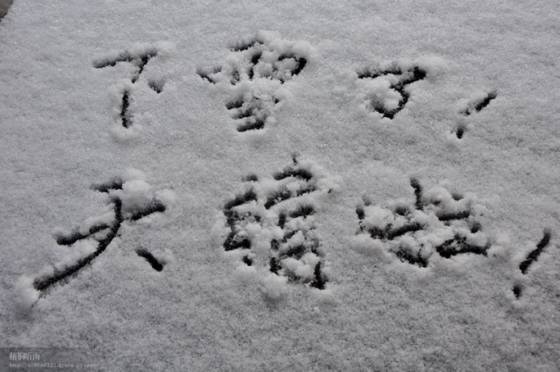 邓建平作品选之逆境 图片