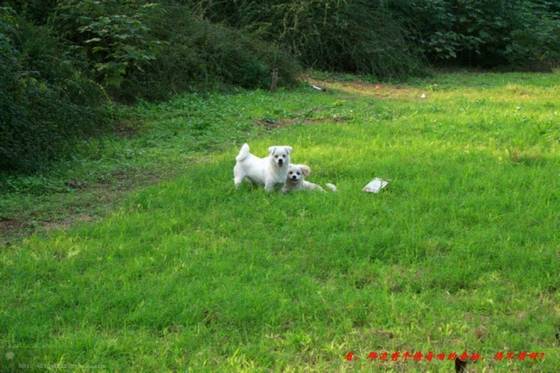 邓建平作品选之2009年摄影之路 图片