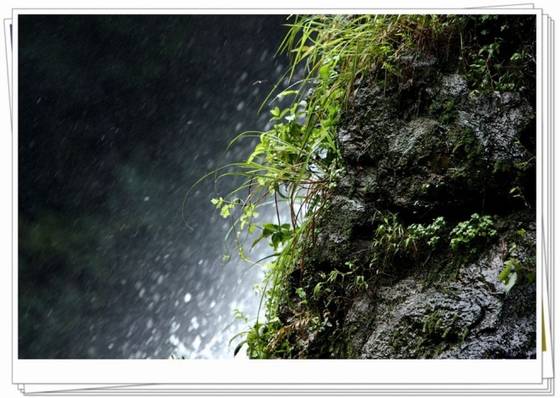 邓建平作品选之不曾忘记你 图片