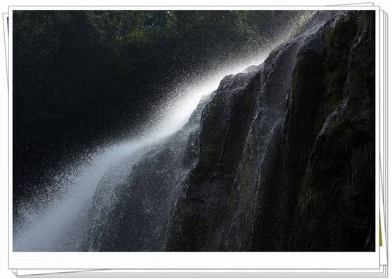 邓建平作品选之不曾忘记你 图片