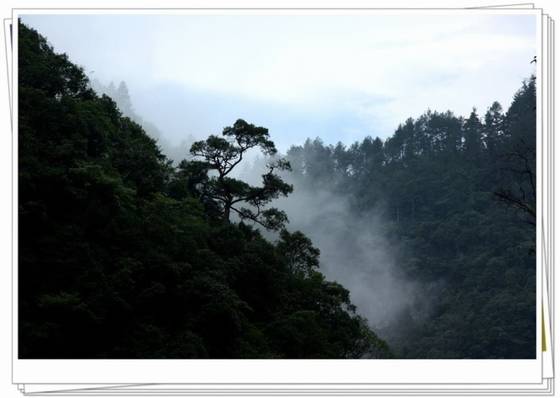 邓建平作品选之不曾忘记你 图片