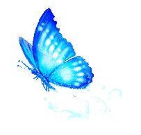 郭丽波作品选之妈妈卖的是寂寞 图片