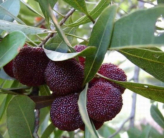 方仲扬作品选之诗词 方仲扬作品选之诗词