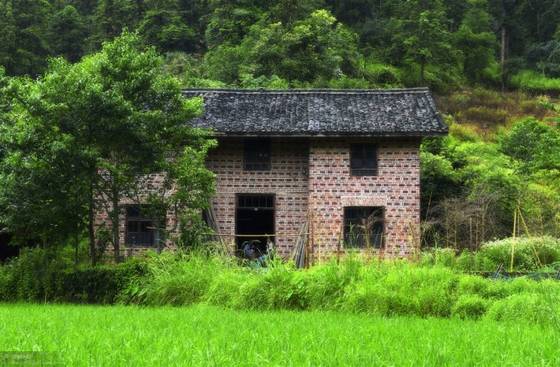 邓建平作品选之荷韵、怀老家旧宅 图片