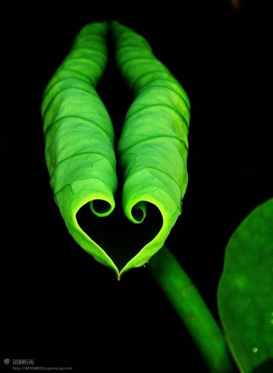 邓建平作品选之你是我拍不出的风景 图片