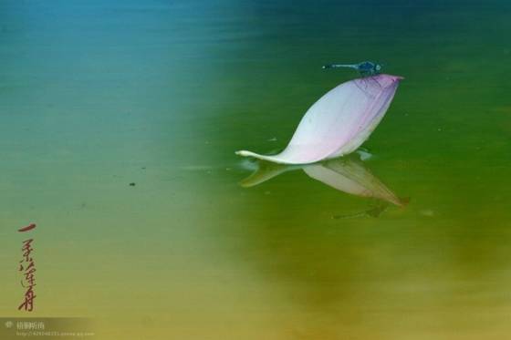 邓建平作品选之你是我拍不出的风景 图片