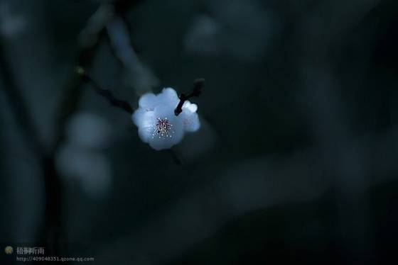 邓建平作品选之妈妈在老家 图片