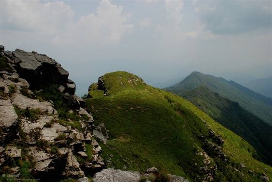 邓建平作品选之妈妈在老家 图片