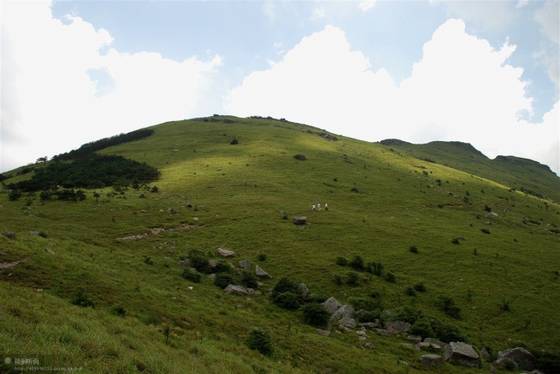 邓建平作品选之妈妈在老家 图片